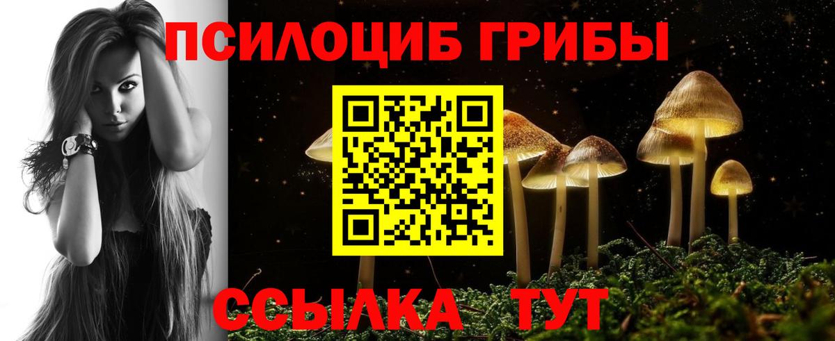 Галлюциногенные грибы Cubensis Зеленодольск
